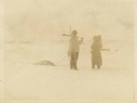 Image of Kavavou and sister [Pitseolak Ashoona] bringing in seal